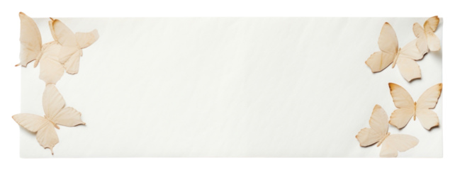 PNG  Paper adhesive strip butterfly pattern white.