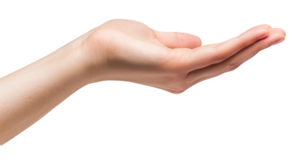 PNG  Hand finger person female.