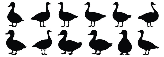 Duck silhouettes set, bird pack of vector silhouette design, isolated background.