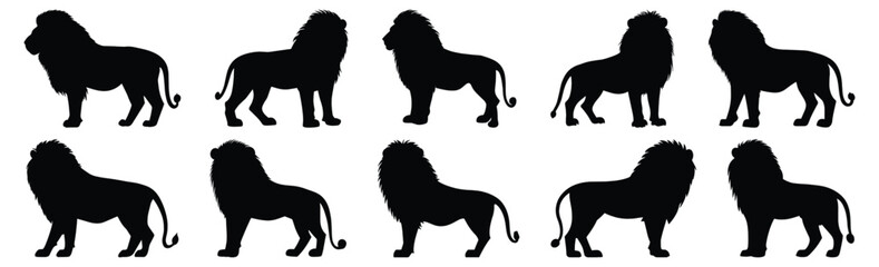 Lion silhouettes set, animal pack of vector silhouette design, isolated background.