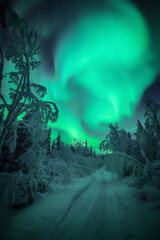 Fototapeta premium Intense bands of Northern lights or Aurora borealis or Polar lights dancing on night sky. Stunning aurora borealis display over a snowy road at night.