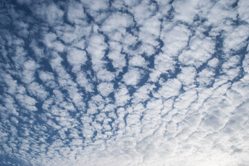 gentle white clouds in the blue sky