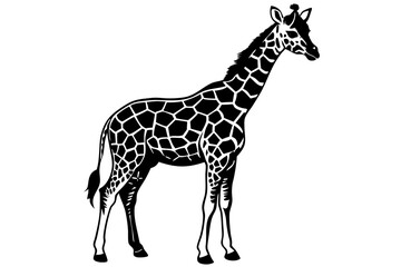Naklejka premium Animal Giraffe Sublimation Designs - Vector, Cartoon, Clipart, Line Art for Graphics & Print, Animal giraffe sublimation, vector, cartoon, and clipart for digital graphics and print use