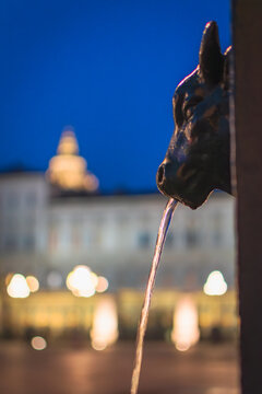 The tipical Bullhead fountain of the city of Turin, Piedmont, Italy.