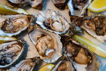Oysters, raw and a lemon drop. What else?