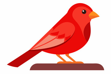 Red canary on its perch vector art illustration 