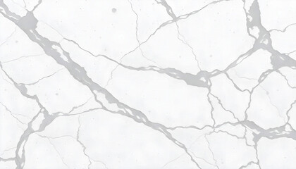 A marble tile featuring intricately gray veins running through a soft white background, ideal for luxurious interior design, adding elegance and sophistication to any space.

