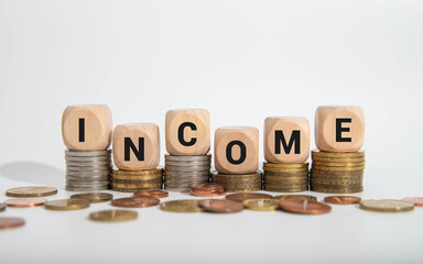 Turned wooden cube and changes words Low income to High income.