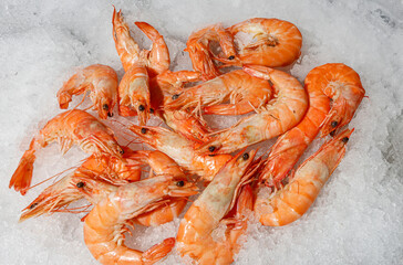 A stunning display of delicious shrimp on ice, ideal for seafood dishes and raw bars for any occasion