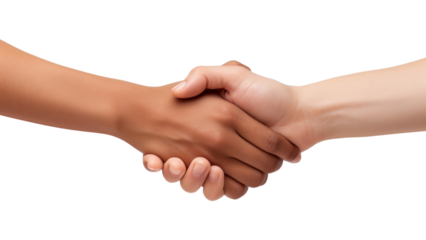 PNG Holding hands handshake white background holding hands.