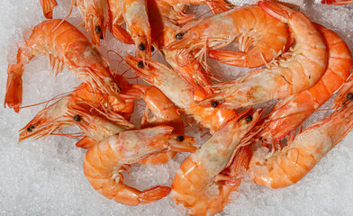A stunning display of vibrant shrimp beautifully arranged on ice, ideal for gourmet seafood dishes and cooking
