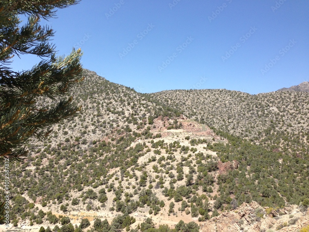 Wall mural eastern nevada landscape with blue sky