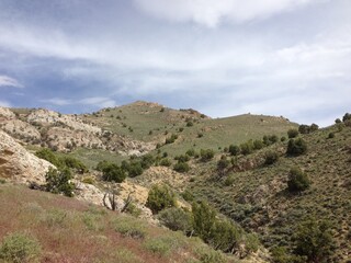 Eastern Nevada landscape in summer