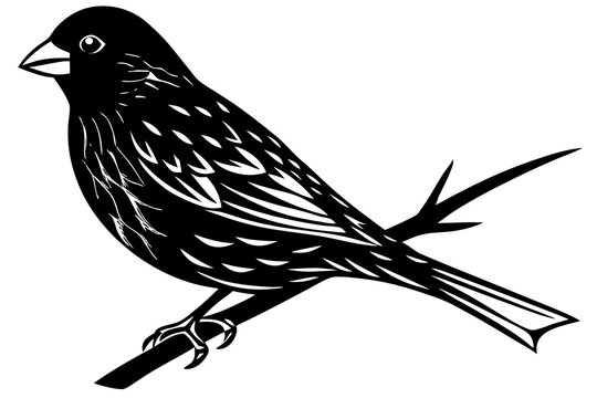 black bird perched on branch clip art preview