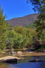 Water stream creek in the forest ACT Australia