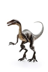Fototapeta premium Ornithischia isolated on white background 