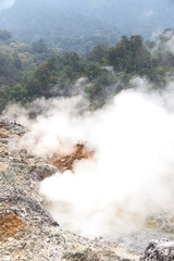 A volcanic solfatara releases thick white sulfur steam, rising from rocky, colorful terrain. Surrounded by dense green forests, the scene captures geothermal activity in nature