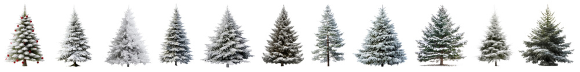 Fototapeta premium Christmas tree png cut out element set