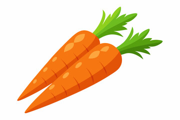 Fresh carrots vector art illustration