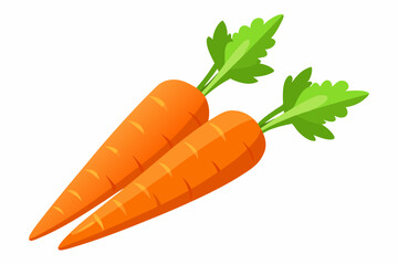Fresh carrots vector art illustration