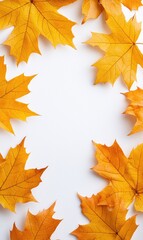 Obraz premium Fall decor: Banner adorned with autumn leaves and generous copy space, designed in a simple and elegant style, reflecting the warm and inviting aesthetics of the autumn season.