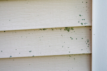 Siding with mold. Exterior wall with algae and mold on house with vinyl siding.