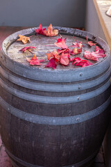 Red autumn maple leaves lie on a large wooden barrel with metal hoops, an interesting background