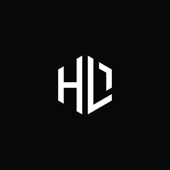 Minimalist Hexagonal HL Lettermark Logo