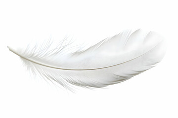 Obraz premium Photo of a Single White Feather Isolated on White