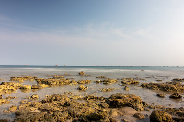 Peaceful Blue Depths. Undisturbed Coral Wonderland.