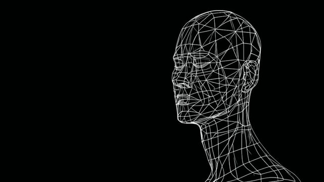 A wireframe representation of a human head in profile against a black background.