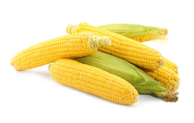 Many fresh ripe corncobs isolated on white