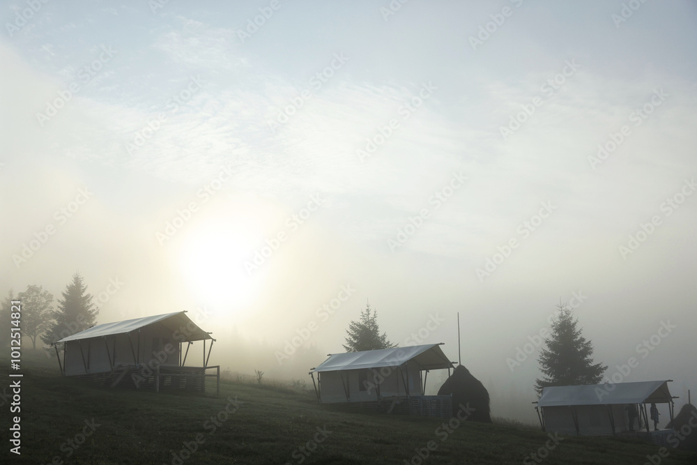 Canvas Prints Many houses and trees covered with fog in morning