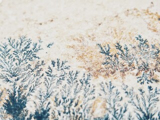 Fototapeta premium Dendritic Mineral Crystals Manganese Dendrites naturally drainage pattern on rock 