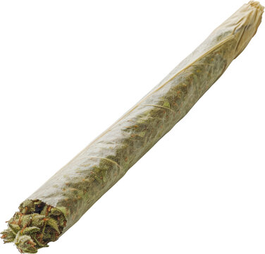 Rolled marijuana joint