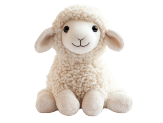 sheep isolated on white