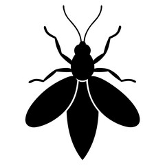 illustration of a beetle