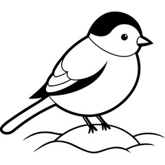 bird on snow