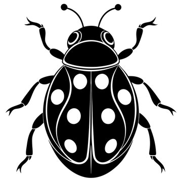 black ladybug with white spots clip art preview