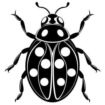 black and white ladybug graphic clip art preview