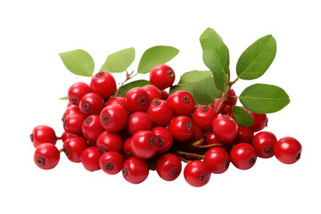 Obraz premium A cluster of ripe red cowberries with green leaves scattered across a white background, showcasing their vibrant color and natural texture