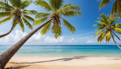 Obraz premium coconut tree on near the beach abstract background