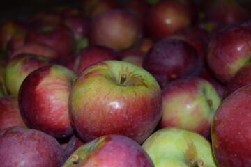 How bout them apples?