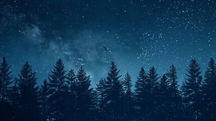 Naklejka premium Forest at night with a starry sky, night forest landscape