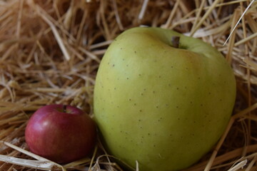 Don't talk to me or my son ever again