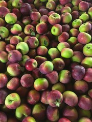 How bout them apples?
