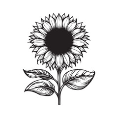 Sunflower print vector illustration, Sunflower icon. Vector illustration. Isolated. Flat design.
