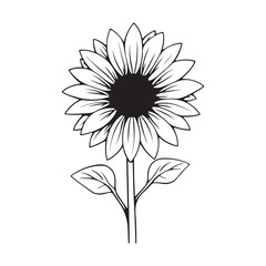 Sunflower print vector illustration, Sunflower icon. Vector illustration. Isolated. Flat design.