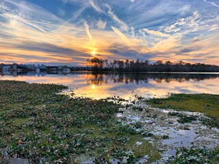 Sunset of Louisiana swamp with contrail in sky 