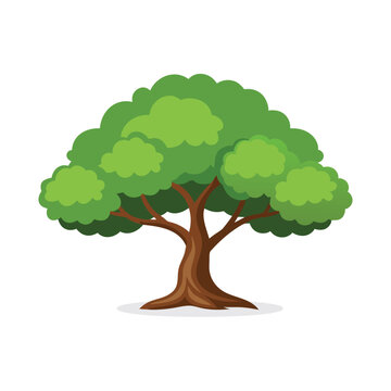 recommend clip art: Elm tree isolated flat vector illustration on white background.